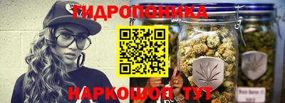 эйфоретик Лесосибирск