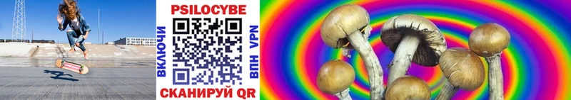 Галлюциногенные грибы Psilocybine cubensis Гусев