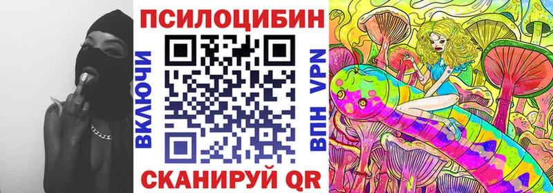 хочу   блэк спрут зеркало  Псилоцибиновые грибы Cubensis  Гусев 