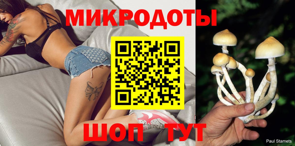Гусев  Псилоцибиновые грибы Psilocybe  Вход с VPN  Галлюциногенные грибы Magic Shrooms 