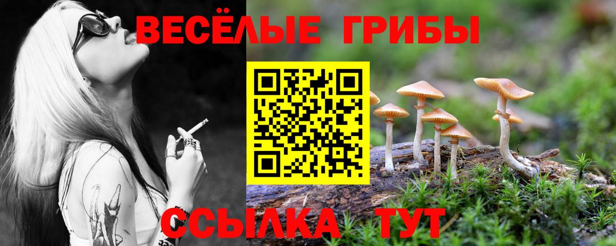 Галлюциногенные грибы GOLDEN TEACHER Гусев